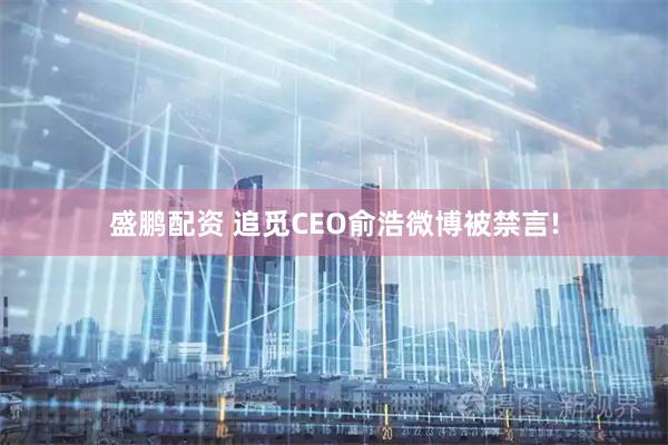 盛鹏配资 追觅CEO俞浩微博被禁言!