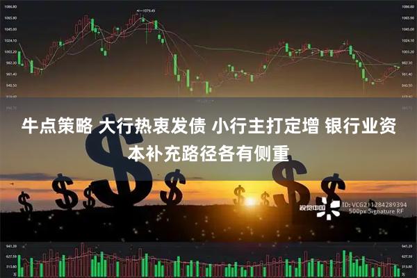 牛点策略 大行热衷发债 小行主打定增 银行业资本补充路径各有侧重